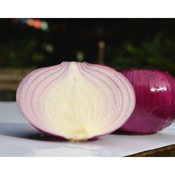 5-7cm Size Specification Of Fresh Red Onion For Sale